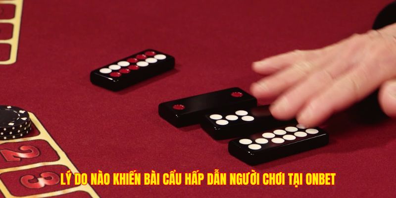 Lý do nào khiến bài cẩu hấp dẫn người chơi tại ONBET